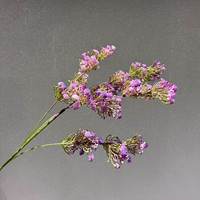 Luxe Kunstmatige Gypsophila Soft Touch Premium Baby's Breath voor hoogwaardig bloemendesign bruiloft kerstdecoratie