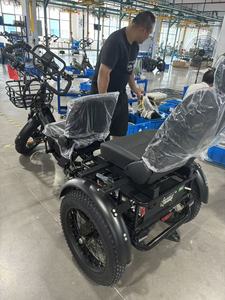 Triciclo Eléctrico Todoterreno de 48v y 750W, Triciclo de Tres Ruedas con Batería de 60AH, Autonomía de 200KM, Suspensión Completa, Cuadro de Aluminio - Product Image 5
