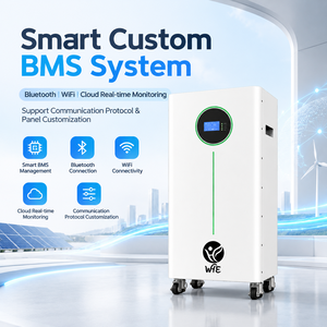 แบตเตอรี่ลิเธียม Lifepo4 51.2V 300Ah 15kWh 10kWh แบบติดผนัง สำหรับเก็บพลังงานภายในบ้าน ใช้กับระบบโซลาร์เซลล์ - Product Image 2