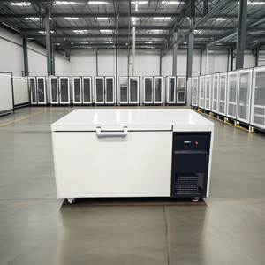 Commerce de gros-40 à-86 degrés porte d'entrée ouverte congélateur coffre profond de grande capacité réfrigérateur à <span class=keywords><strong>compression</strong></span> avec CE - Product Image 4