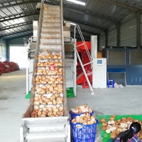 Machine de traitement des chips de konjac et de manioc séchés Shouchuang OEM avec contrôle PLC, sécheuse de légumes konjac, porang et manioc
