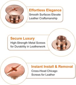 HARFINGTON Sets Chicago Screws Leather Rivets M Inch Belt Binding Metal Screws For Leathercraft Bag Shoes <b>Purse</b> Bookbinding Rose - Product Image 4