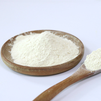 Prix de gros du fabricant AD Poudre d'oignon blanc déshydratée en vrac de qualité alimentaire naturelle