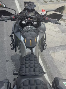 <span class=keywords><strong>Kawasaki</strong></span> Versys-X300 - Motocicleta de Turismo de Aventura Doble Propósito de 300cc - Product Image 4