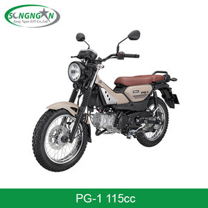 Motocicleta PG-1 - Product Image 4