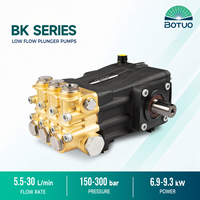 Pompe à piston haute pression série BK 15,5-30 L/min, pression max. 300 bar, avec tête de pompe en laiton pour lavage auto et suppression de la poussière