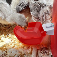 Abreuvoirs pour volailles, canards, oies, poulets et poussins, abreuvoirs à coupelles pour animaux de ferme