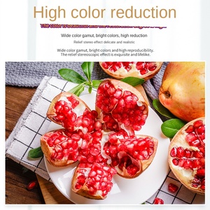 Stella FX1601E/1901E automatico testa singola <span class=keywords><strong>per</strong></span> stampante di Poster adesivo <span class=keywords><strong>per</strong></span> auto a getto d'inchiostro <span class=keywords><strong>per</strong></span> uso interno/<span class=keywords><strong>esterno</strong></span> - Product Image 4