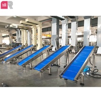 Ruipacking-Automatic Nehmen Sie das fertige Förderband für Lebensmittel korn produkte zum Mitnehmen