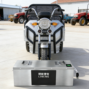 Harga pabrik 60v 80ah 100ah 150ah Sepeda listrik skuter motor listrik Sepeda listrik dapat dikustomisasi 2/3/4 roda - Product Image 5