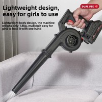 Motor Brushless Lithium-ion Industri DIY Berdaya Tinggi, Peniup Isi Ulang Fungsi Ganda, Pengumpul Debu Mobil Ringkas, Pembersih Udara