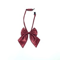 Nœud Papillon d'Affaires en Polyester Jacquard Rayé Japonais avec Nœud Coloré - Cadeau Direct Usine