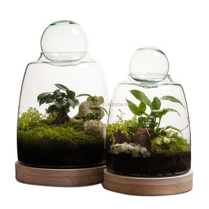 Soho Terrarium <span class=keywords><strong>bouteille</strong></span> hydroponique plante vases fait à la main haute Borosilicate Terrarium <span class=keywords><strong>bouteille</strong></span> <span class=keywords><strong>en</strong></span> <span class=keywords><strong>verre</strong></span> pour plante <span class=keywords><strong>vase</strong></span> <span class=keywords><strong>en</strong></span> <span class=keywords><strong>verre</strong></span> - Product Image 1