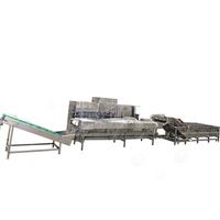 Gedroogde Automatische Ananas Appelverwerking Vriesdroge Verpakking Banaan Knapperige Appelchips Maken Machine Productielijn