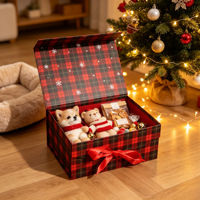 Boîte cadeau pour animaux de compagnie en carton blanc personnalisable en forme d'avion à carreaux de Noël, jouets pour chiots, friandises, clochettes, ornements, emballage en gros
