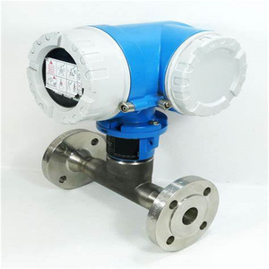 เครื่องวัดอัตราการไหลแบบเทอร์มอลเมาส์โฟลว์มิเตอร์ Endress+Hauser รุ่น 65F25-AE2AG1AAABBA - Product Image 2