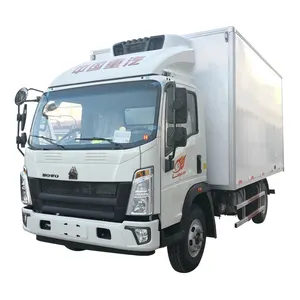 2020 Meist verkaufte Produkte Howo 2 Achsen 4x2 Light Truck Kama Mini Cargo Truck