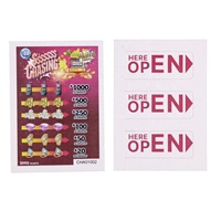 Billets à languette personnalisés, impression sérigraphique double face, carton de haute qualité, recyclable, anti-contrefaçon, coloré
