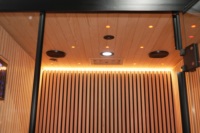 Sauna infrarouge à panneaux de carbone pour 2 personnes, faible EMF, en bois de pruche noir, pour intérieur
