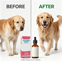 Vitamin D Cair untuk Anjing, Kalsium untuk Penyerapan Tulang, Kesehatan Gigi, Meningkatkan Imunitas, Suplemen Kesehatan Terbatas, OEM Label Pribadi