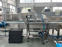 Ligne de production de gâteaux industrielle professionnelle à grande capacité, multifonctionnelle, PLC, automatique, pour cupcakes, gâteaux roulés suisses