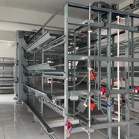 Usine directement vente ferme avicole poules pondeuses équipement système automatique cage à poulets