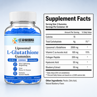 Gummies de L-Glutathion Liposomal 2000mg à la Myrtille pour Vendeurs E-commerce aux États-Unis et en Europe, Marque Privée OEM, Emballage Personnalisé