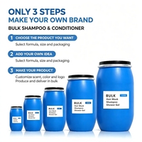Shampooing, après-shampoing et masque capillaire sans sulfate en vrac, en fûts, formule personnalisée pour hôtels, salons, vente en gros, directement de l'usine, marque privée