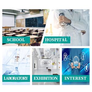 Science médicale modèle en PVC des organes du corps <span class=keywords><strong>humain</strong></span> modèle <span class=keywords><strong>de</strong></span> torse anatomique modèle d'aide à <span class=keywords><strong>l</strong></span>'enseignement modèle - Product Image 5