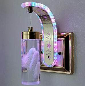 Оптовая Продажа с фабрики, Лидер продаж, новый дизайн, акриловый настенный кронштейн для сухих цветов, современный небольшой настенный светильник - Product Image 6