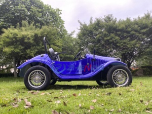 Electric Classic Rolls-royce Vintage Car Mini Retro Cars Fiat <b>Amusement</b> Park Antique Cars for Sale - Product Image 3