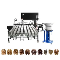 3a Grade Chinese Voedsel Gedroogde Fruitzak Verpakking Pinda Pit Walnoten Pitten Sorteermachine Vorm Kleur Sorteerder 99.99%