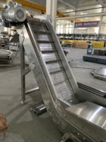 Convoyeur à chaîne de levage de qualité alimentaire avec trémie et convoyeur à bande inclinée pour la manutention et l'emballage des aliments