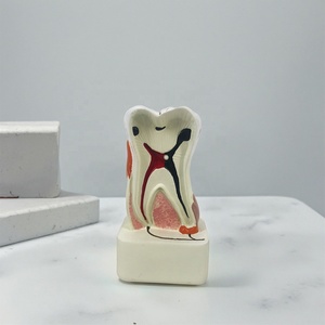 Modelo <span class=keywords><strong>de</strong></span> Patología Dental para Educación Dental y Laboratorio Dental, Modelo <span class=keywords><strong>de</strong></span> Estudio Dental - Product Image 2