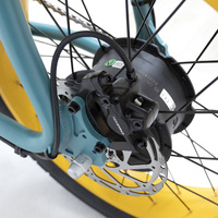 Vélo électrique de montagne Fatbike Eu 20 pouces à gros pneus