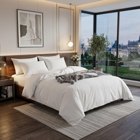 Ensemble de literie hôtelier 4 pièces 100% Coton avec coutures, draps plats et housses de couette, anti-bactérien et anti-acariens, pour hôtels et complexes hôteliers