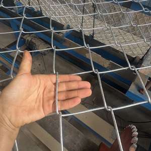 Clôture de sécurité en treillis métallique galvanisé avec revêtement en PVC, services de découpe et de pliage - Product Image 2