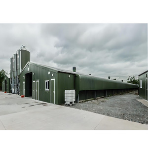 Poulailler de ferme à cadre en acier haute résistance avec système de litière profonde conçu pour les fermes de poulets de viande jusqu'à 10,000 oiseaux - Product Image 2