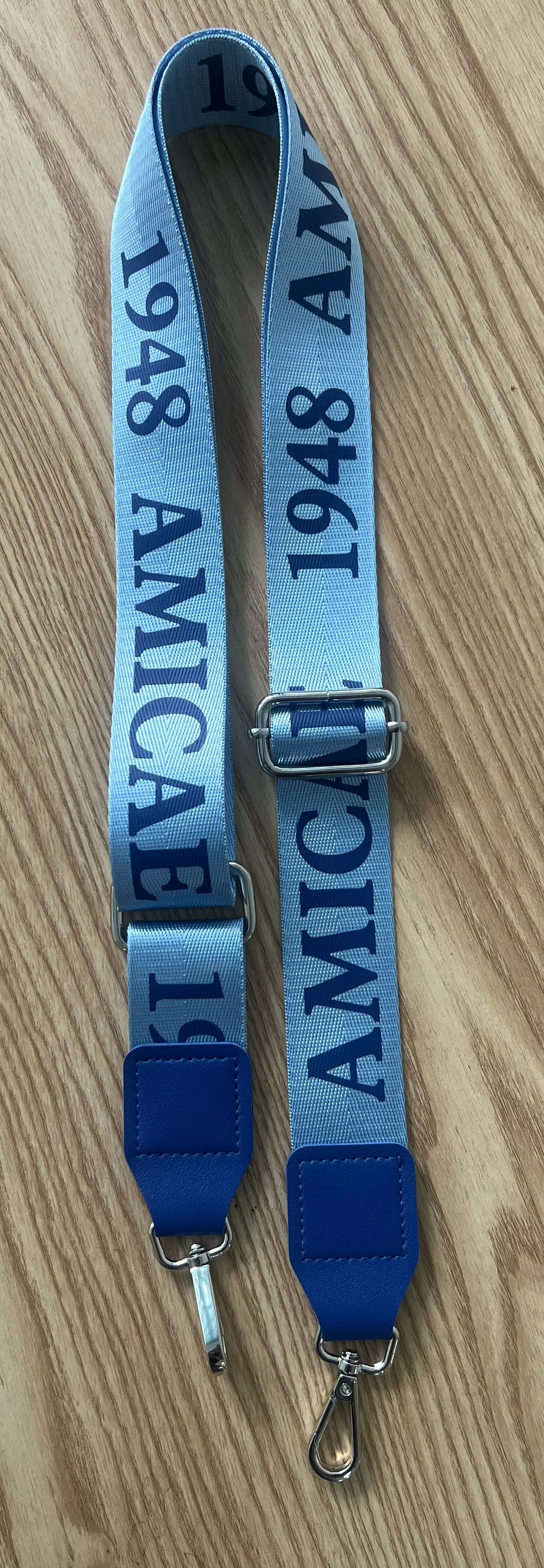 Custom Logo Zeta Phi Beta Blue Handbag Strap Fashionable Plastic