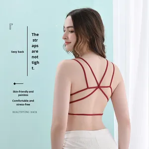 Nuovo Stile Invernale Reggiseno Bandeau da Donna Intrecciato Ricamato Anti-Esposizione Traspirante Senza Spalline Senza <span class=keywords><strong>Ferretto</strong></span> Sexy Coppa 3/4 - Product Image 4