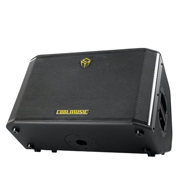COOLMUSIC Factory  String Instrument Rechargeable Outdoor Performance Amplifier 300W Electric Guitar Bass Amplifier