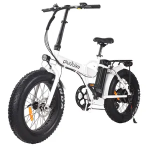 Sepeda Listrik Gunung 20 Inci untuk Dewasa, Sepeda Listrik Lain dengan Braket Belakang ATV Vs Skuter Lipat Ebike