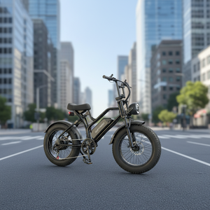 Expédition rapide d'usine, vélo électrique tout-terrain à pneus larges 20 pouces, double suspension, 7 vitesses, 48V 500W 18AH, frein à disque, 20x4, neige, hors route - Product Image 6