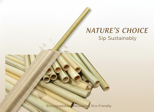 Pajitas de Bambú de 200 mm Empaquetadas, Pajitas de Fibra Natural Compostables para Uso Diario - Product Image 2