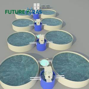 Élevage de poissons tilapia en plein air, systèmes d'aquaculture en recirculation (RAS), kit complet d'équipement fermé, Malaisie - Product Image 5