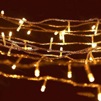 Wasserdichte LED-Lichterkette für den Außenbereich 10M 20M 30M 50M 100M Feiertagsdekoration IP44-Schutzklasse 220V Weihnachtsbeleuchtung 100 LEDs