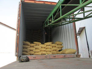 محسنات غذائية عالية الجودة محكم من فليك من مصل الحليب بسعر الجملة بروتين الصويا المعزول - Product Image 5