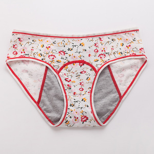 Culottes menstruelles en coton de haute qualité, ensemble de lingerie florale sexy, sous-vêtements menstruels anti-fuites pour femmes, culottes en coton doux et simples - Product Image 2