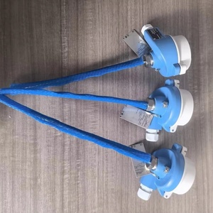 เทอร์โมมิเตอร์อุตสาหกรรมแบบโมดูลาร์รุ่นดั้งเดิม E+H TM111-AACAAX1ABB2CA1AA1 พร้อมเซ็นเซอร์วัดอุณหภูมิ - Product Image 1