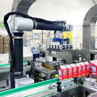 Mesin Pengemas Karton dan Botol, Robot Kolaboratif Pick and Place, Mesin Pemasang Karton, Mesin Pemuat Peti, Mesin Palletizer